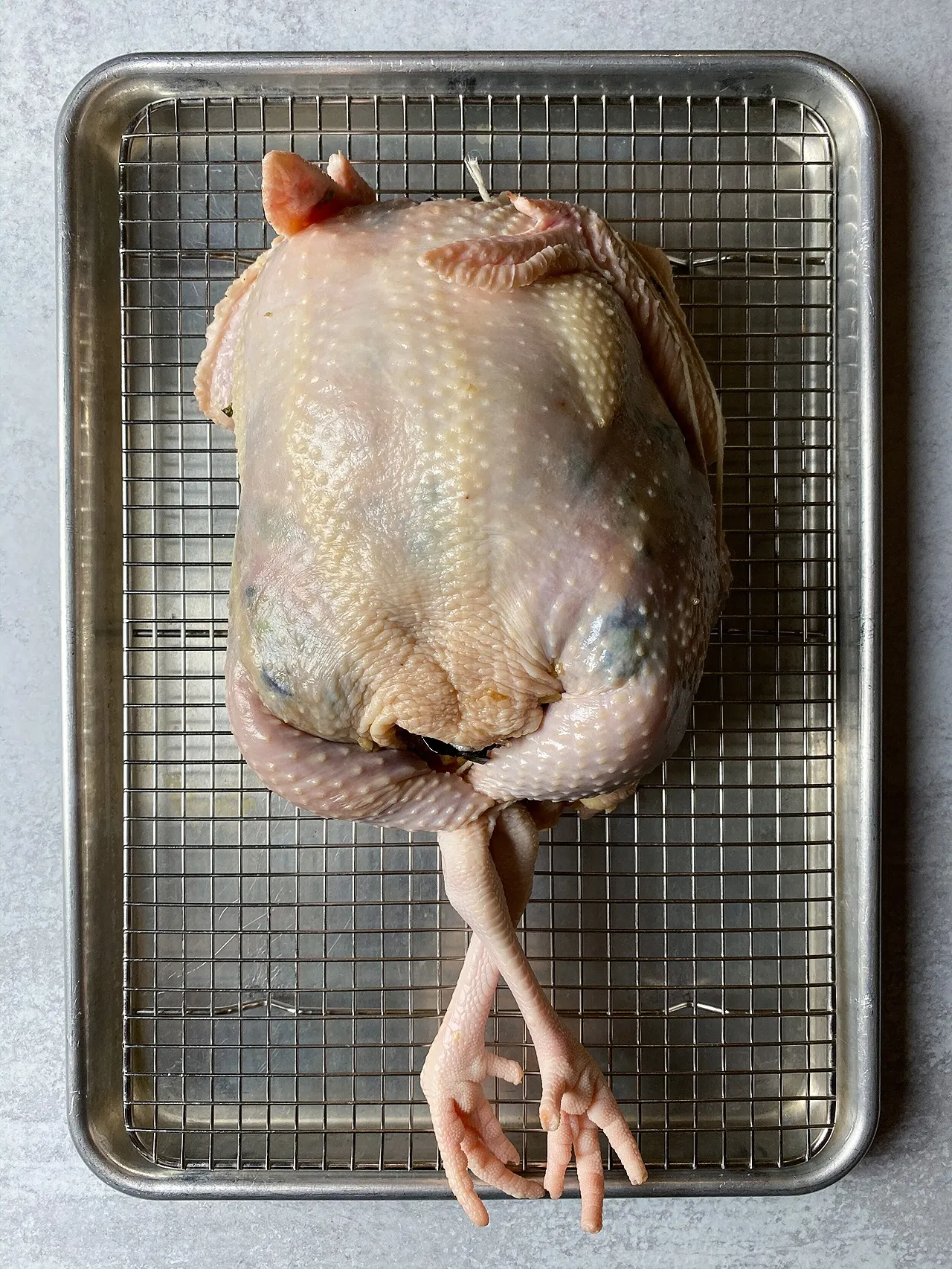 Step 8 photo 6
