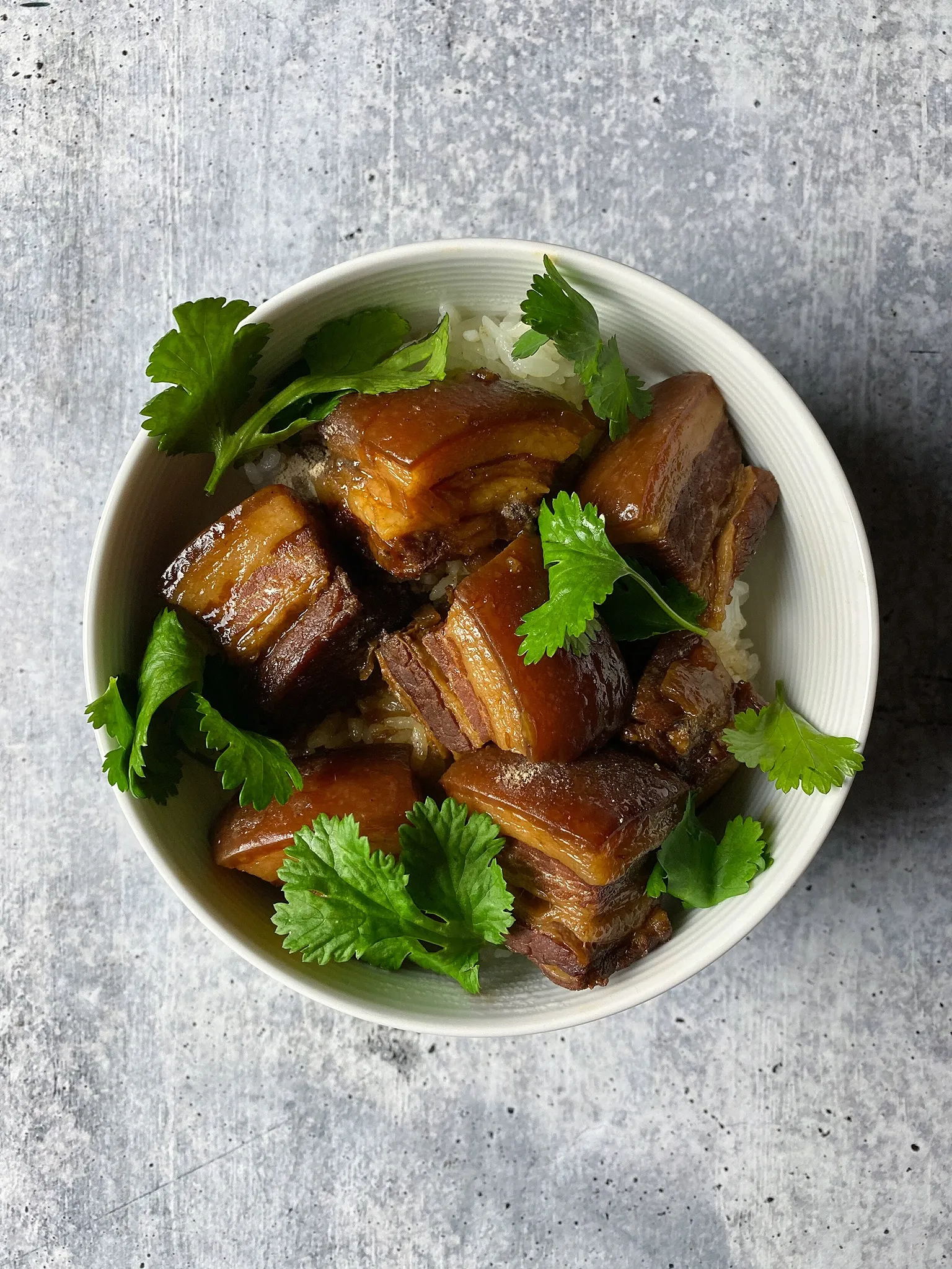 Braised Pork Rice 滷肉飯