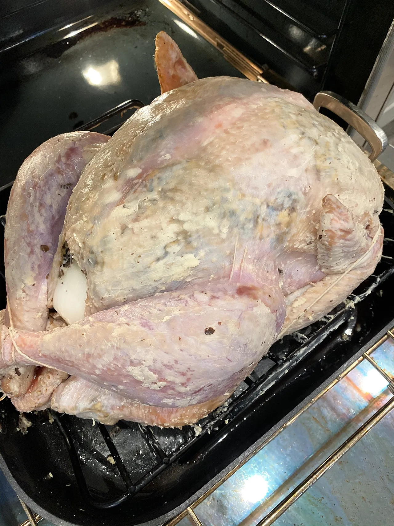 Step 17 photo 1