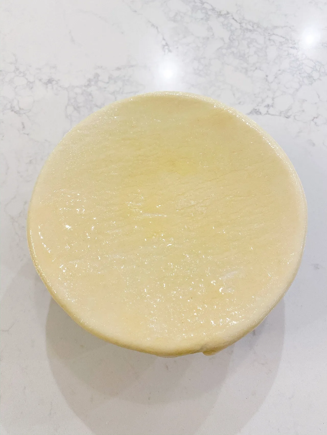 Step 9 photo 12
