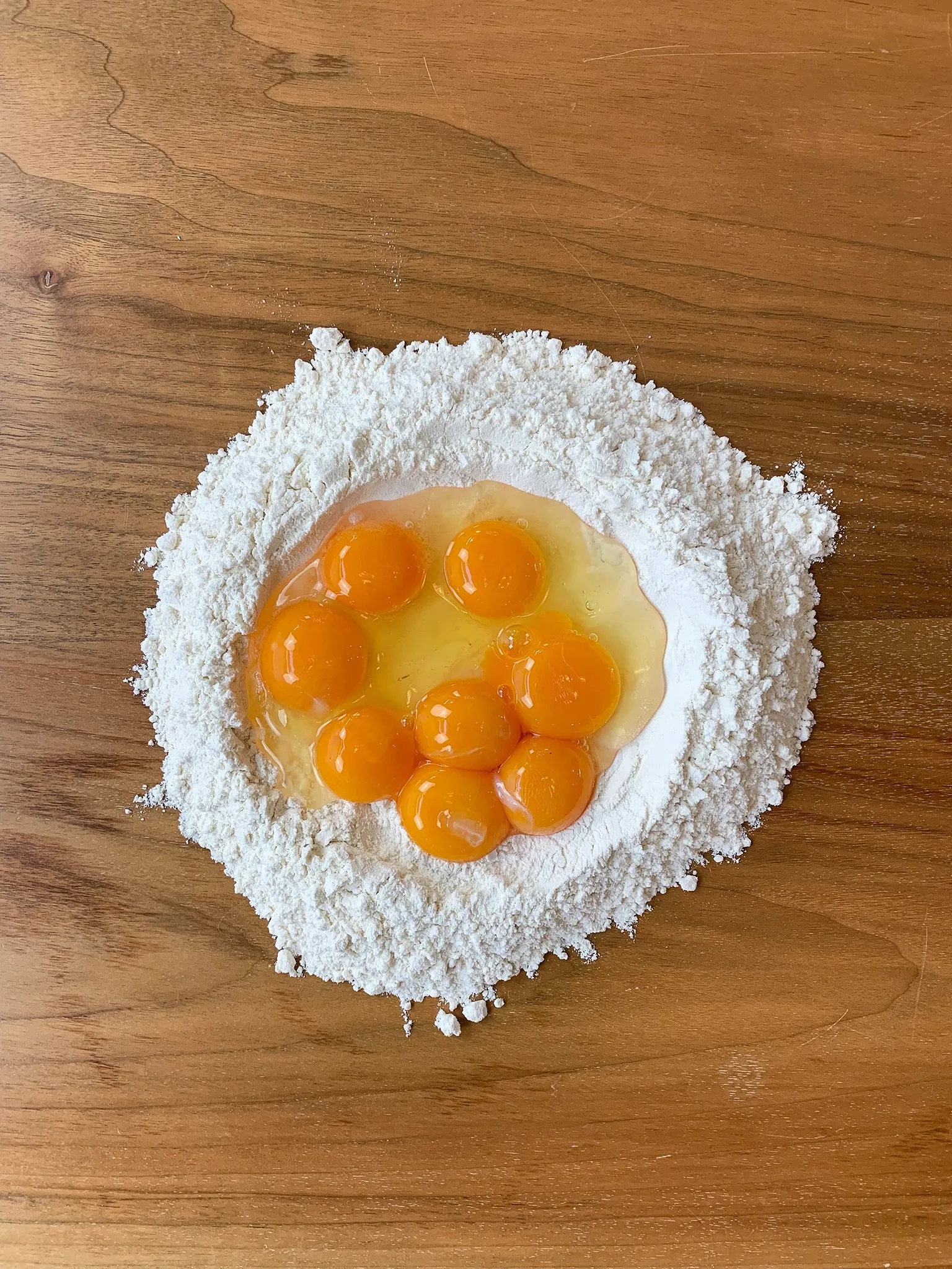 Pasta Dough